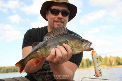 łowienie z powierzchni